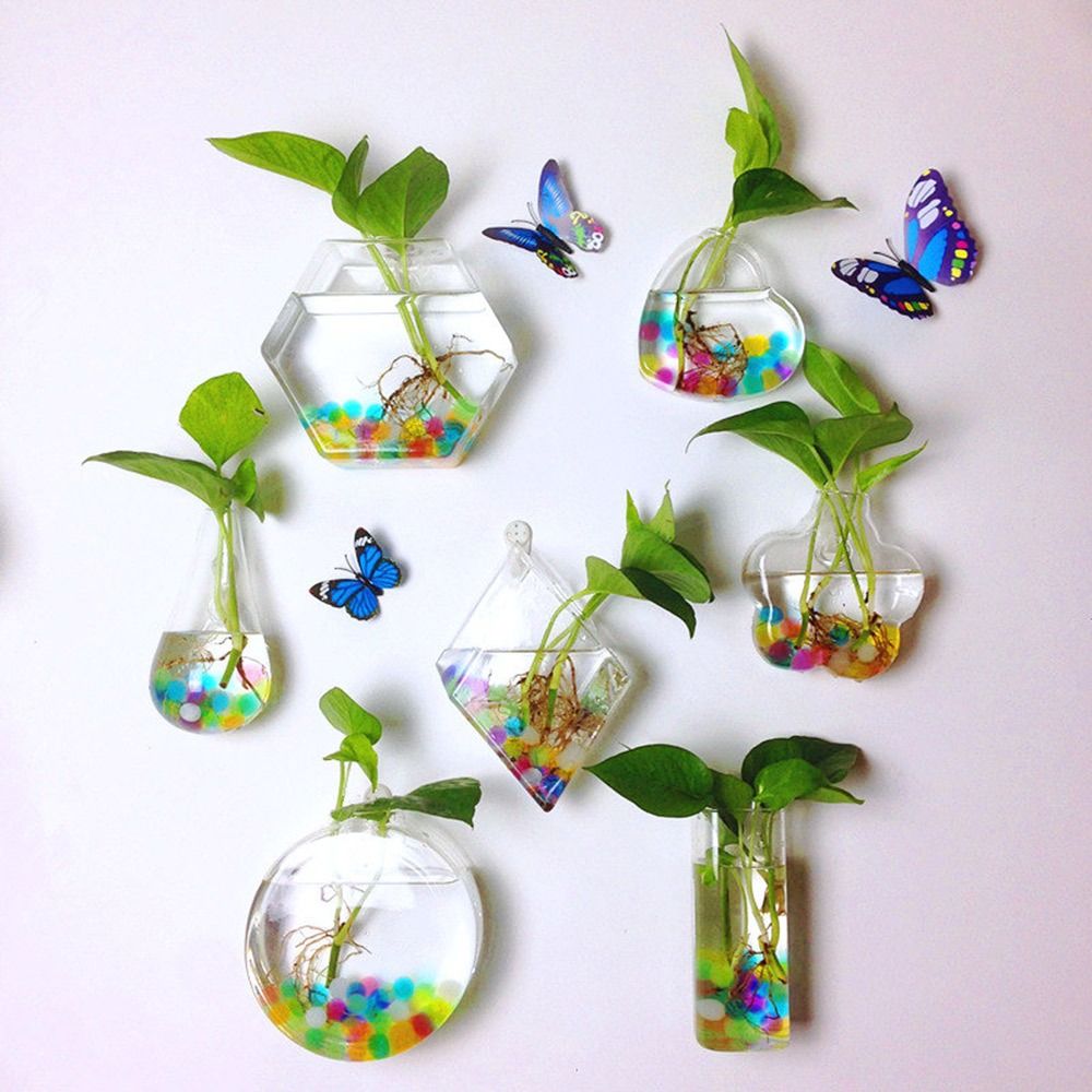 Aquarium Planted Wall - Настенная ваза в форме конуса, прозрачный
