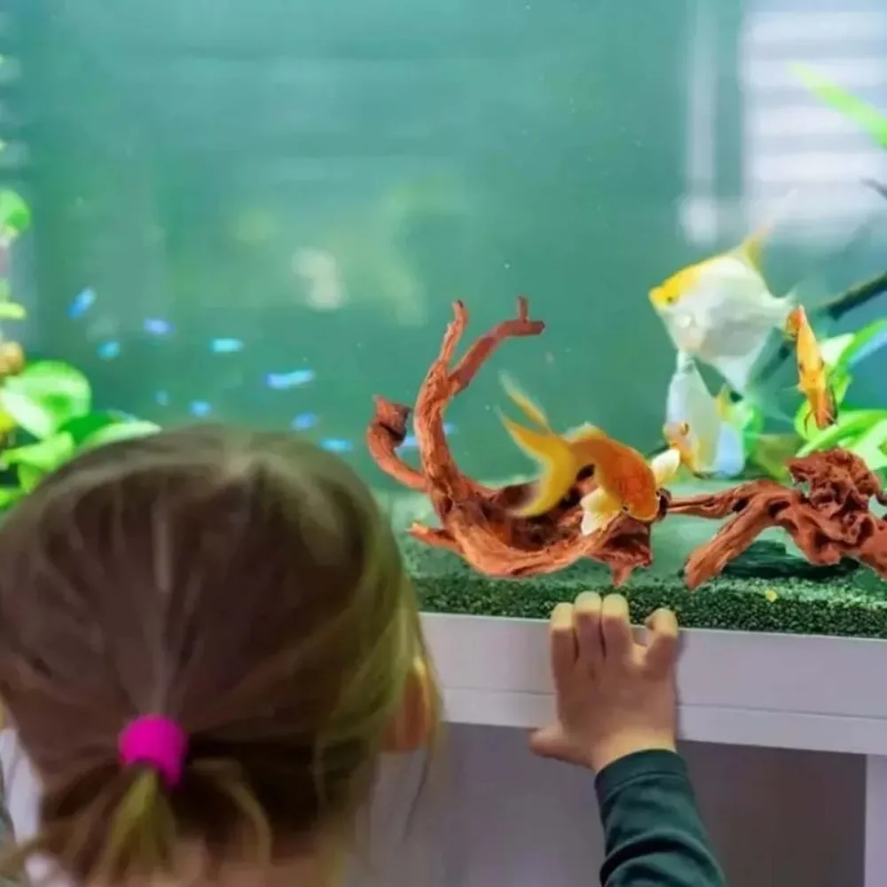 Planted Aquarium With Driftwood - Новый натуральный миниатюрный плавучий коряга-пникварин для