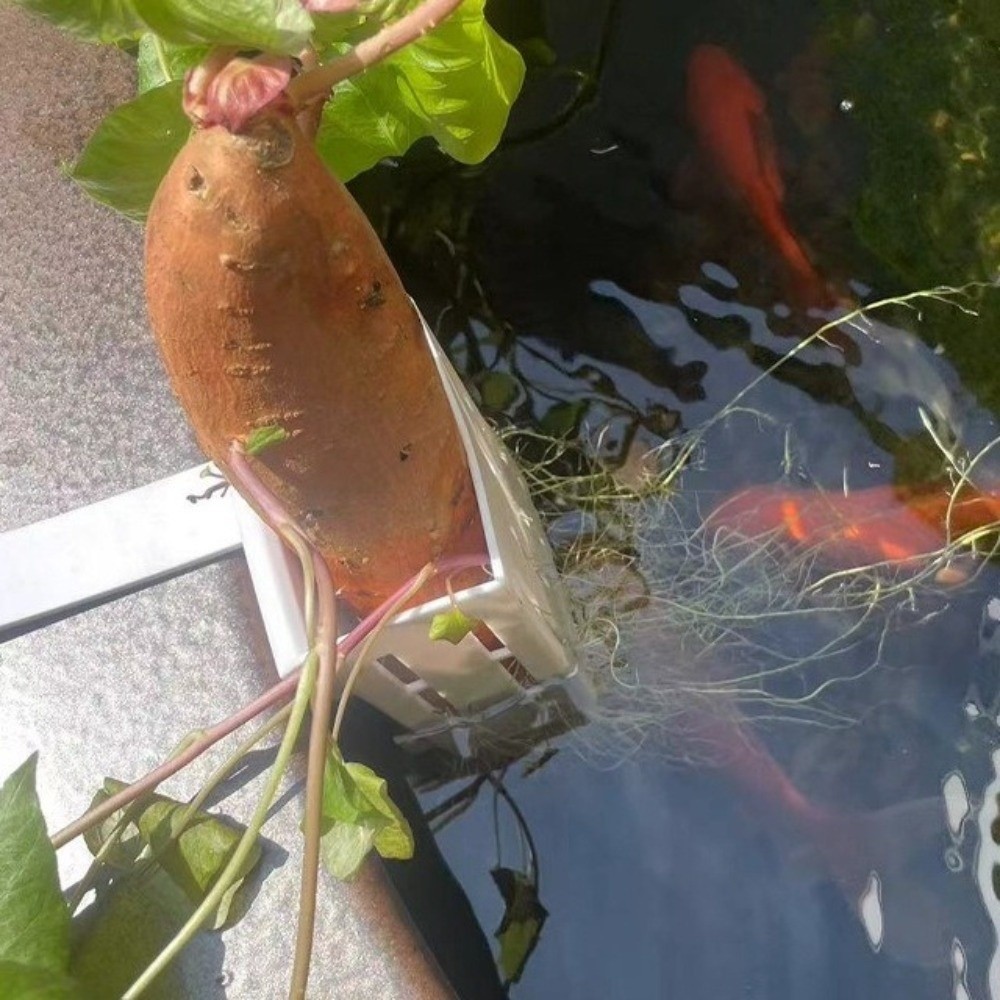 Aquarium Planted Wall - Настенный пластиковый контейнер для аквариумных растений,