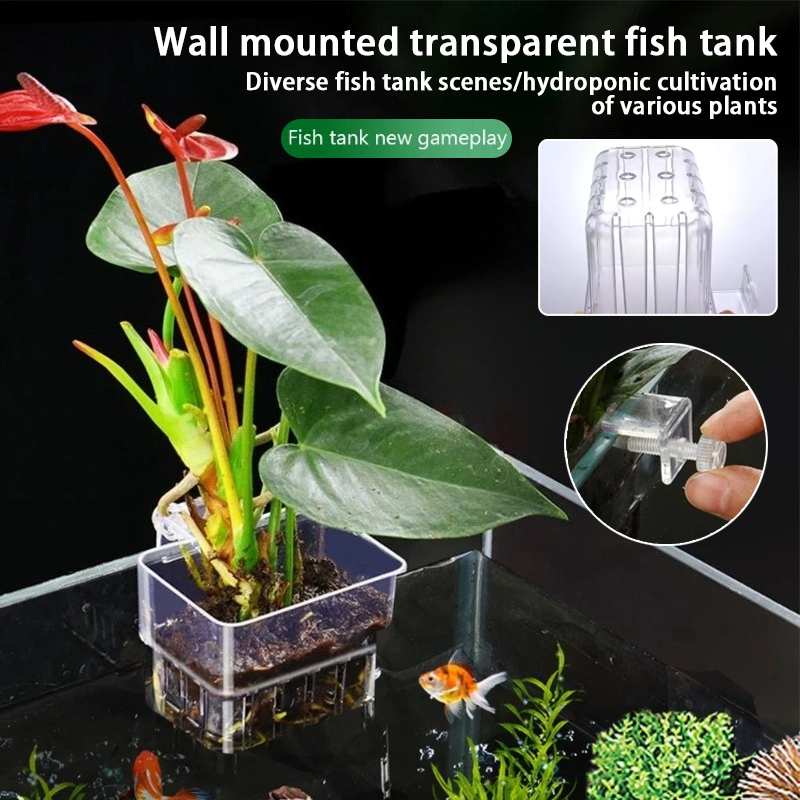 Aquarium Planted Wall - Навесные кашпо для аквариума, настенные держатели