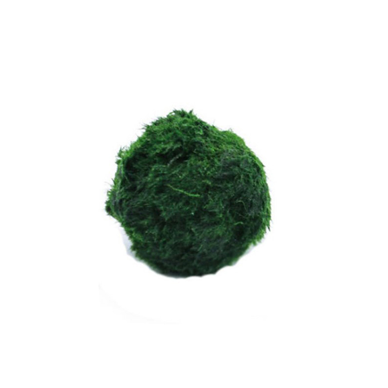 Aquarium Plant Roots - Шарики из мха Marimo, живое аквариумное