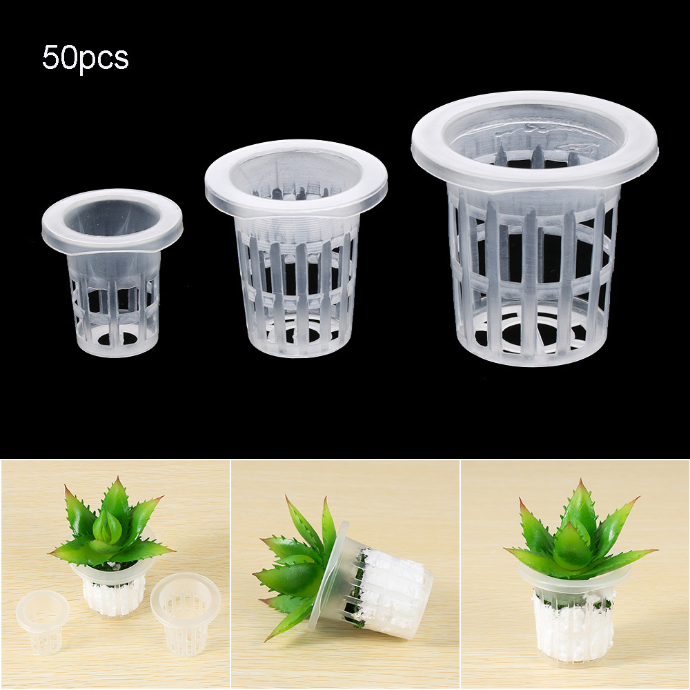 Aquarium Planted Seeds - 10/50 шт. садовые принадлежности для посадки