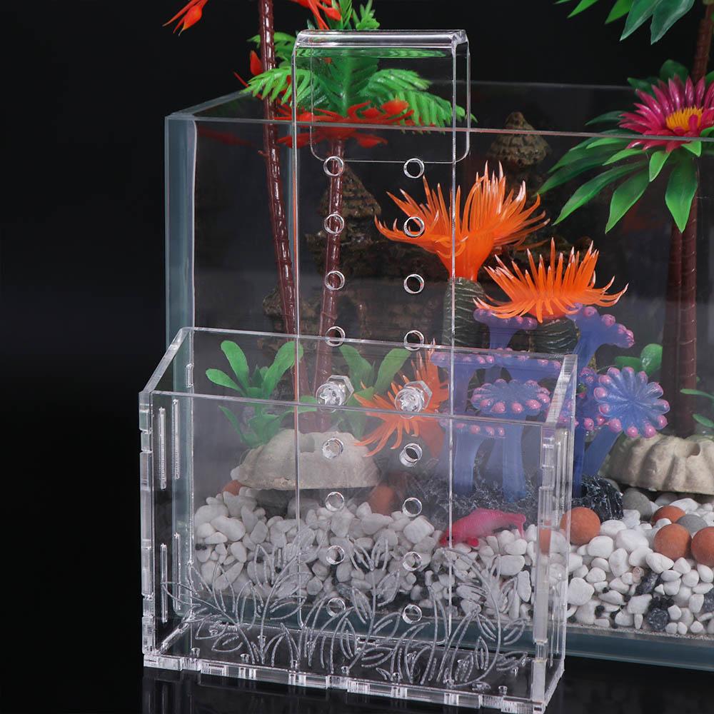 Aquarium Planted Wall - Настенный аквариумный стаканчик для растений, прозрачный