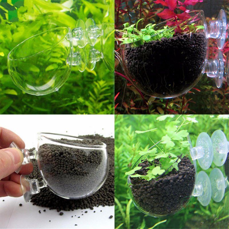 Aquarium Planted Seeds - Стеклянная цилиндрическая чашка для аквариума с