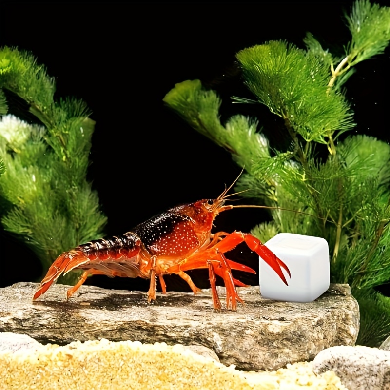 Aquarium Plant Roots - 6 шт., аквариум, кальциевый блок, минералы,
