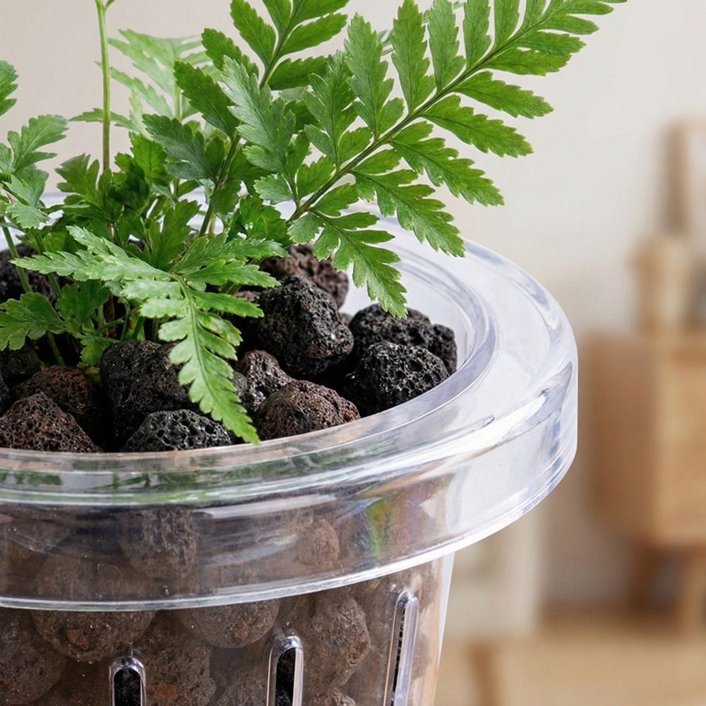 Aquarium Planted Wall - Прозрачная круглая подвесная корзина для аквариумных