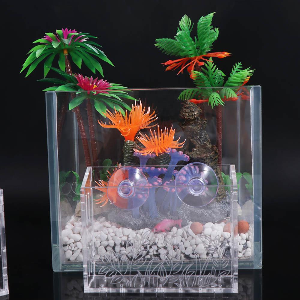 Настенный аквариумный горшок д – обзор и цена Aquarium Planted Wall
