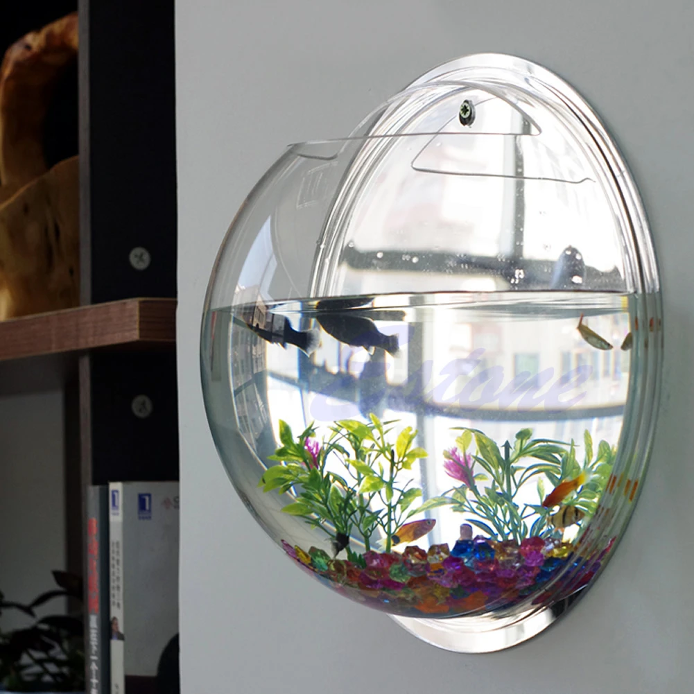Настенная акриловая миска для  – обзор и цена Aquarium Planted Wall