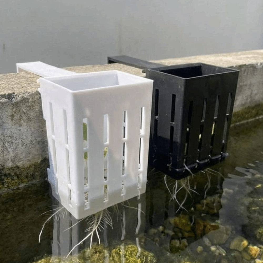 Настенный гидропонный контейне – обзор и цена Aquarium Planted Wall