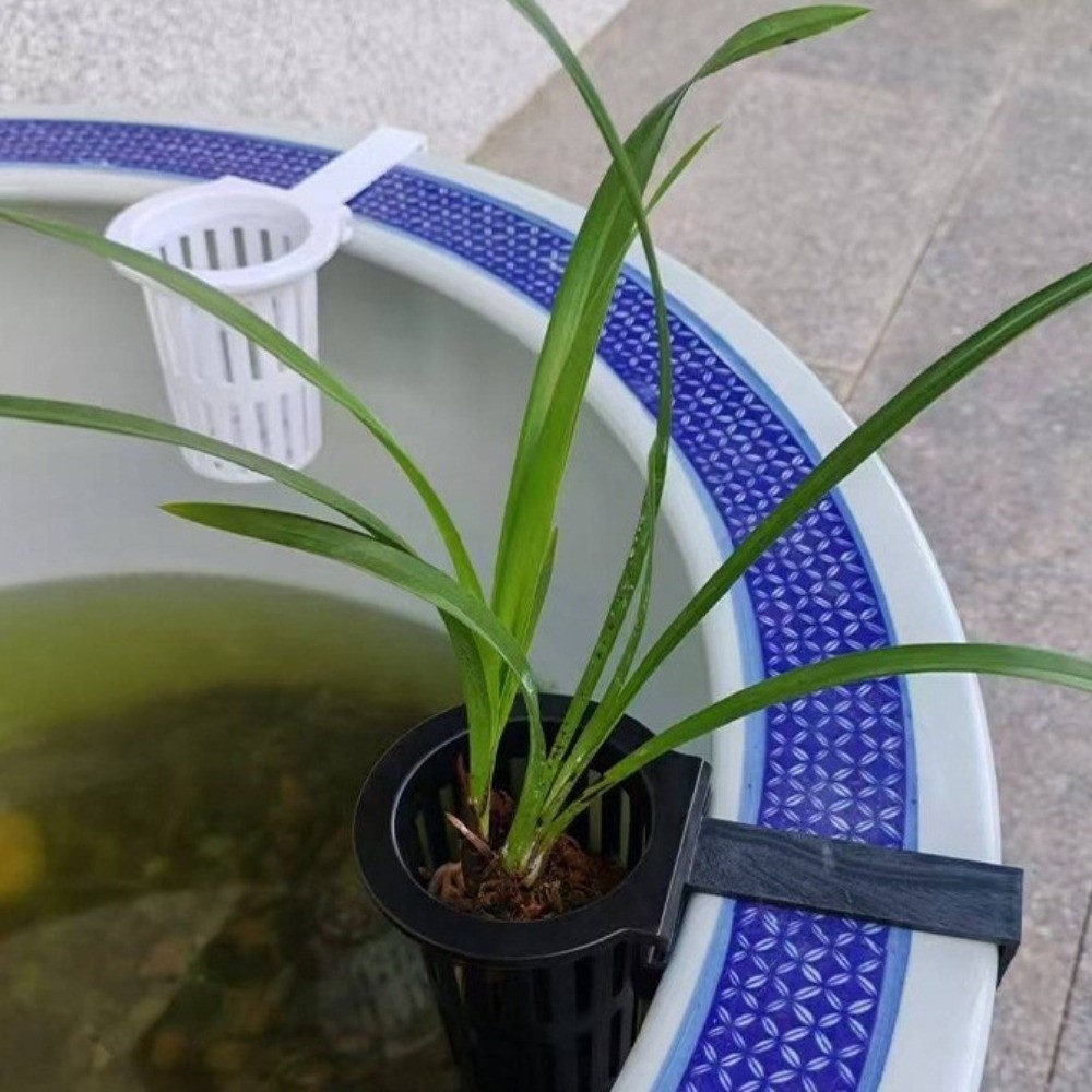 Настенный гидропонный контейне – обзор и цена Aquarium Planted Wall
