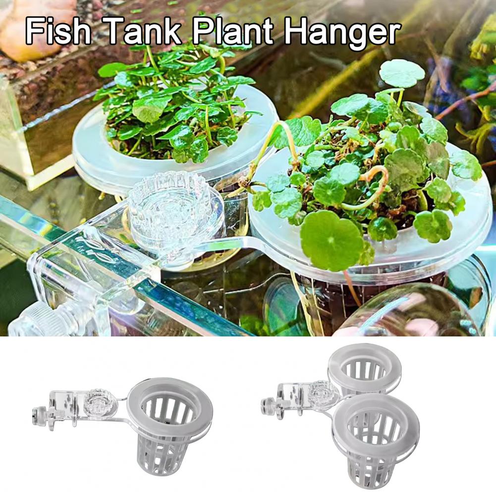 Держатель для аквариумных раст – обзор и цена Aquarium Planted Wall