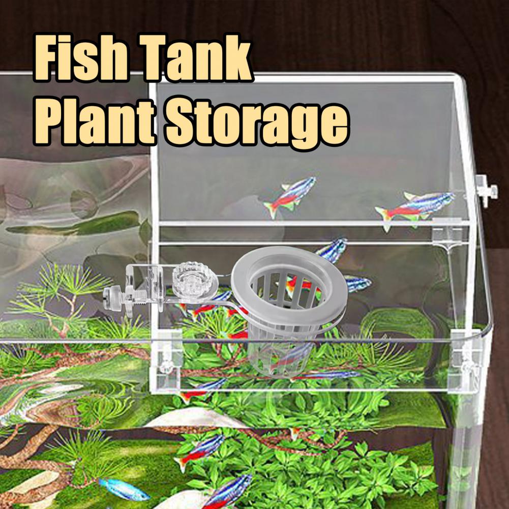 Держатель для аквариумных раст – обзор и цена Aquarium Planted Wall