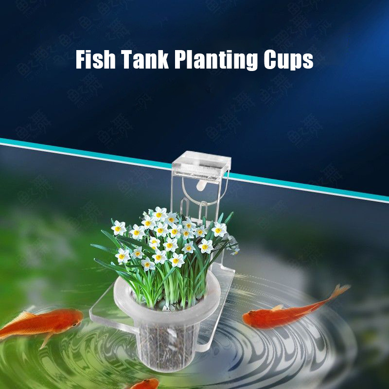Чашки для посадки аквариума, г – обзор и цена Aquarium Planted Wall