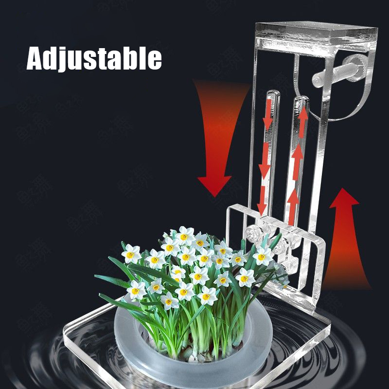 Чашки для посадки аквариума, г – обзор и цена Aquarium Planted Wall