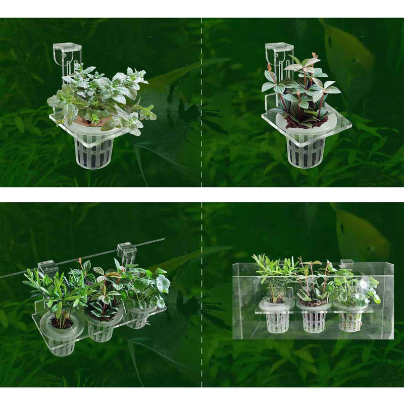 Чашки для посадки аквариума, г – обзор и цена Aquarium Planted Wall