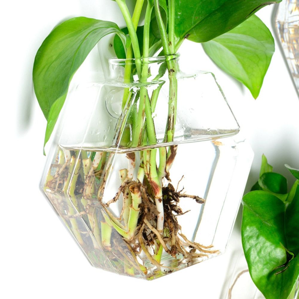 Настенная ваза в форме конуса, – обзор и цена Aquarium Planted Wall