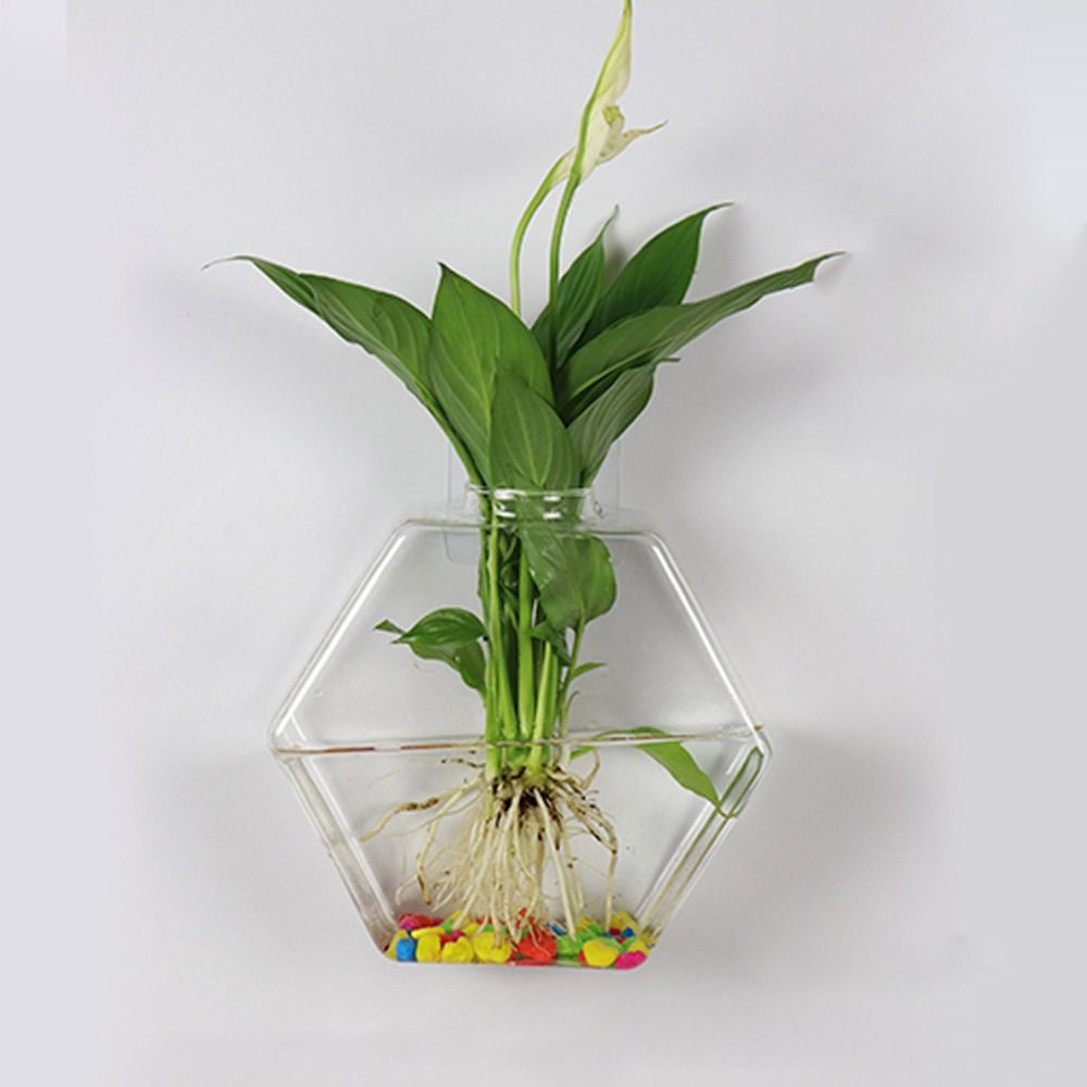 Настенная ваза в форме конуса, – обзор и цена Aquarium Planted Wall