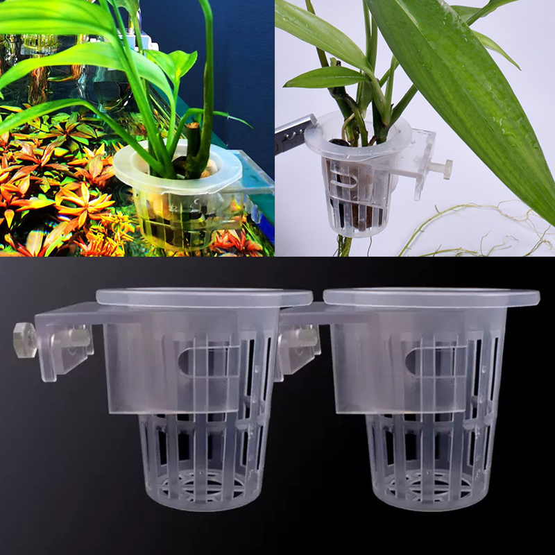 Настенная фиксирующая чашка дл – обзор и цена Aquarium Planted Wall