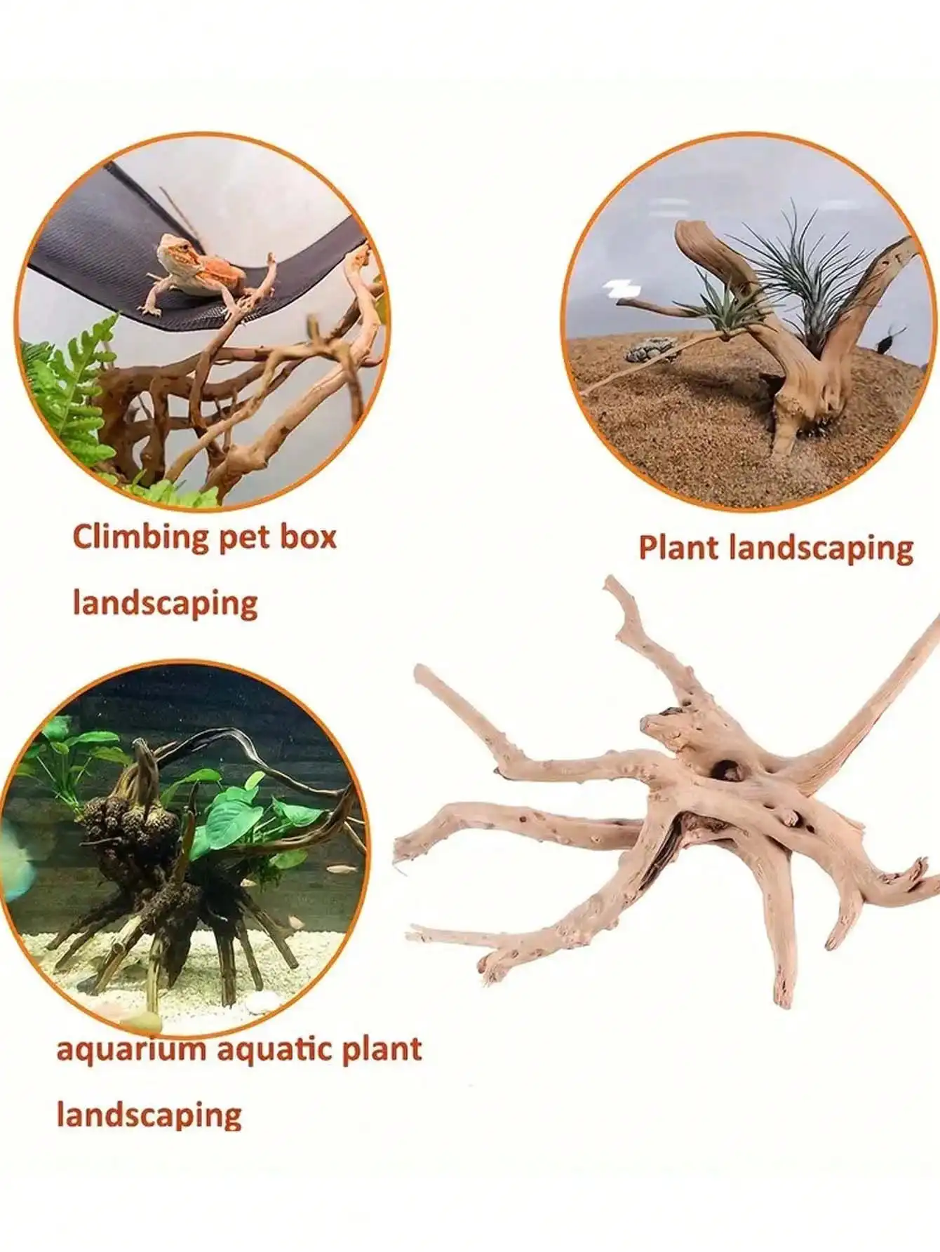 Новый натуральный миниатюрный  – обзор и цена Planted Aquarium With Driftwood