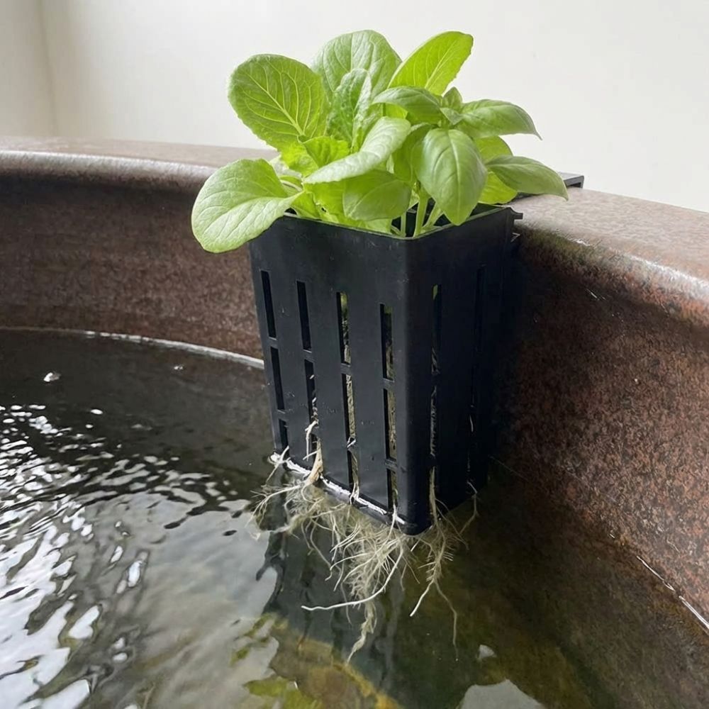Настенный пластиковый контейне – обзор и цена Aquarium Planted Wall