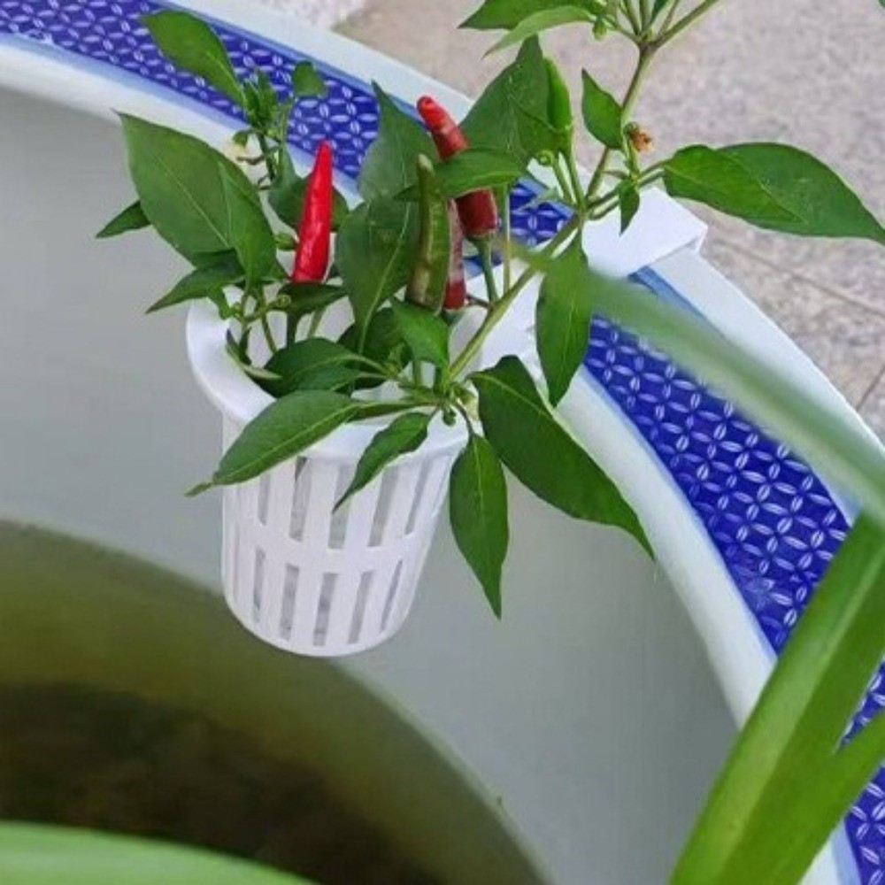 Настенный пластиковый контейне – обзор и цена Aquarium Planted Wall