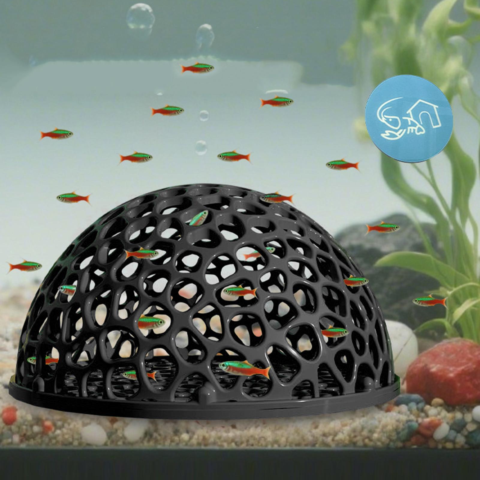 Аквариум Hiden Cave Shelter дл – обзор и цена Aquarium Planted Seeds