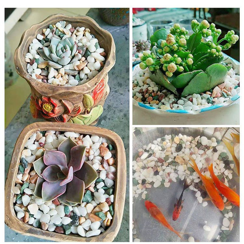 50/100 г натуральные кристаллы – обзор и цена Aquarium Planted Seeds