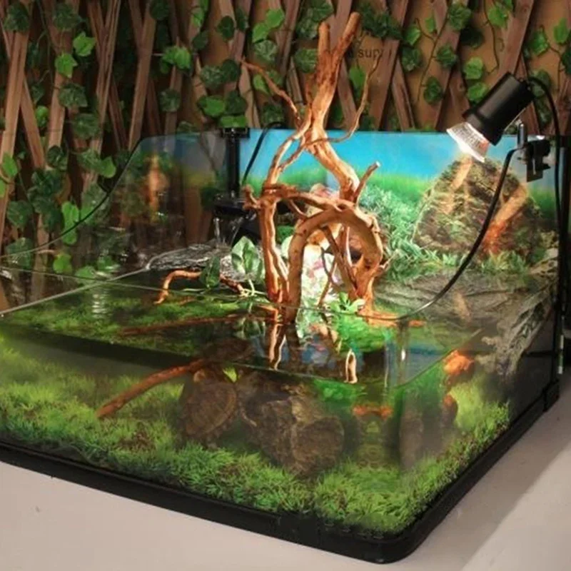 Натуральный коряга из ствола д – обзор и цена Planted Aquarium With Driftwood