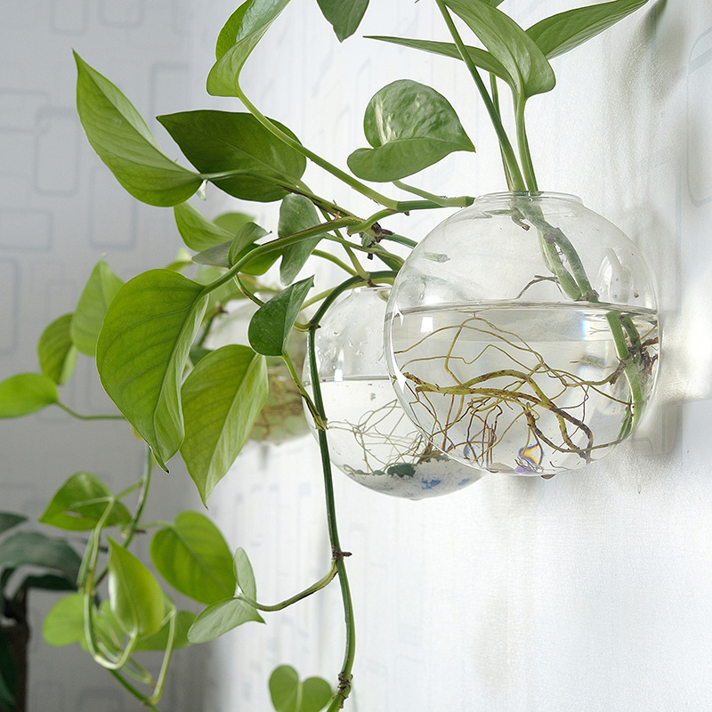 Настенная акриловая миска для  – обзор и цена Aquarium Planted Wall