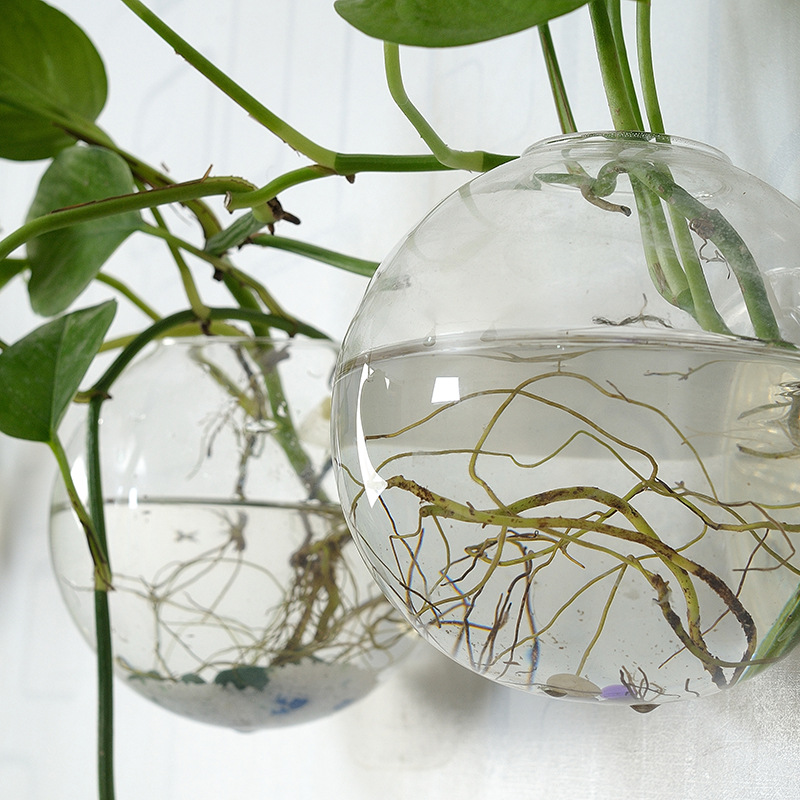 Настенная акриловая миска для  – обзор и цена Aquarium Planted Wall