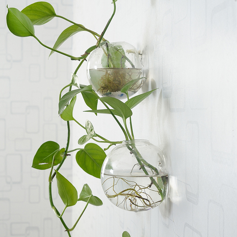 Настенная акриловая миска для  – обзор и цена Aquarium Planted Wall