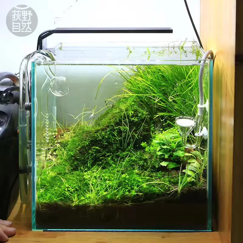 Chihiros C серии ADA стиль для – обзор и цена Planted Aquarium Mini