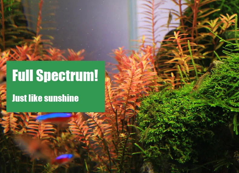 Chihiros C серии ADA стиль для – обзор и цена Planted Aquarium Mini