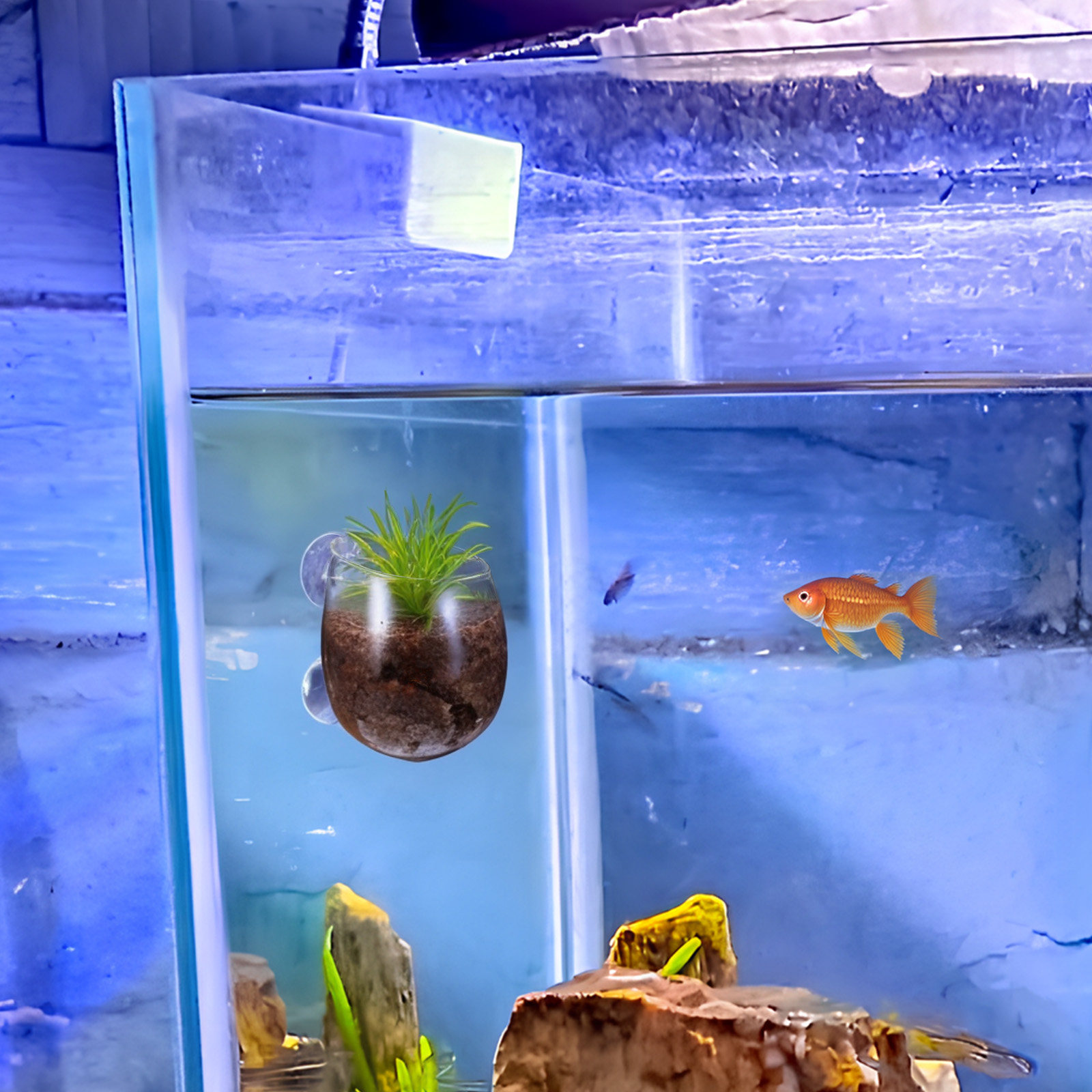 2 шт. прозрачные стеклянные ст – обзор и цена Aquarium Planted Wall