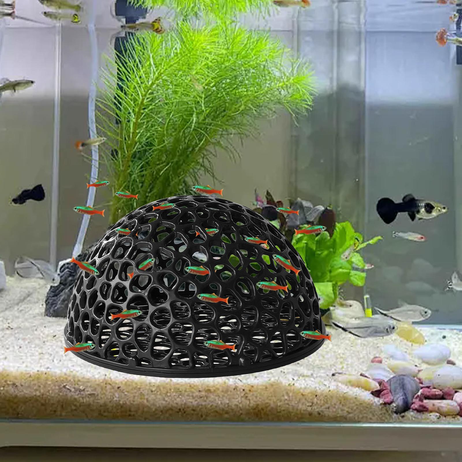 Аквариум, скрывающая креветки, – обзор и цена Aquarium Planted Seeds
