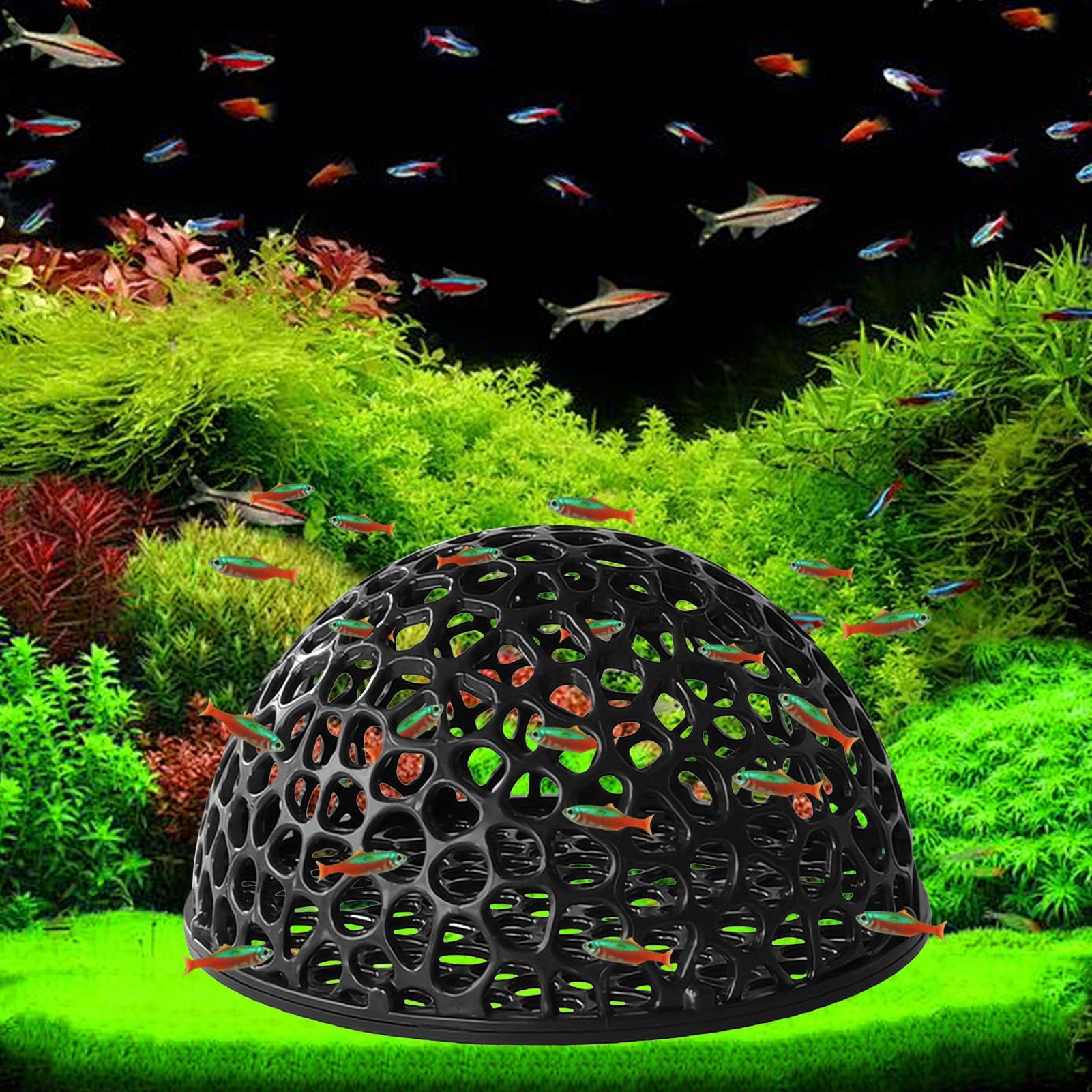 Аквариум, скрывающая креветки, – обзор и цена Aquarium Planted Seeds