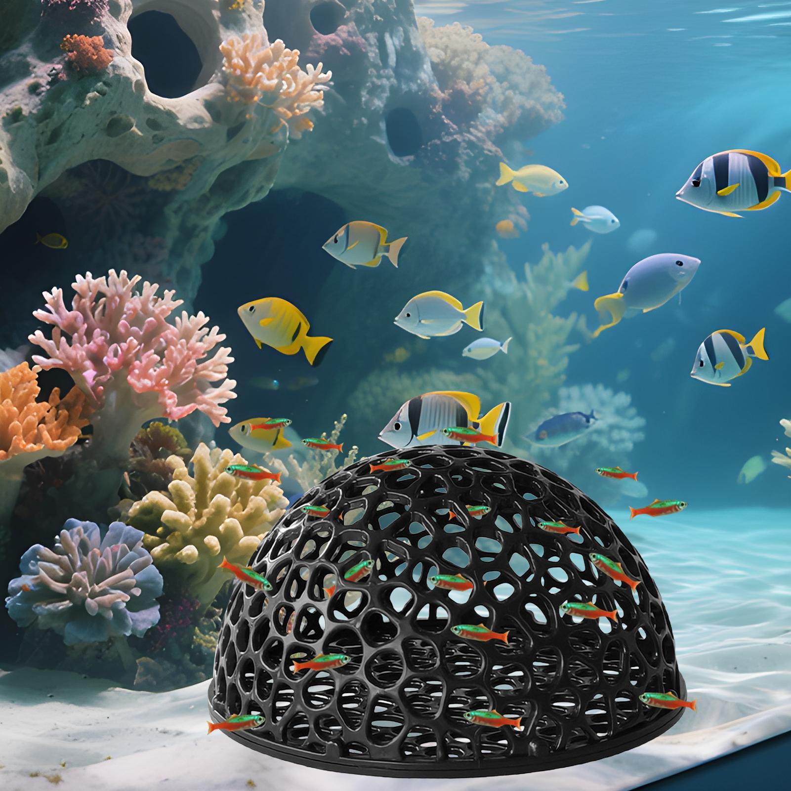 Аквариум, скрывающая креветки, – обзор и цена Aquarium Planted Seeds