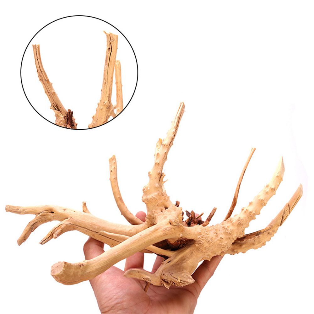 Дерево N1N, ландшафтный дизайн – обзор и цена Planted Aquarium With Driftwood