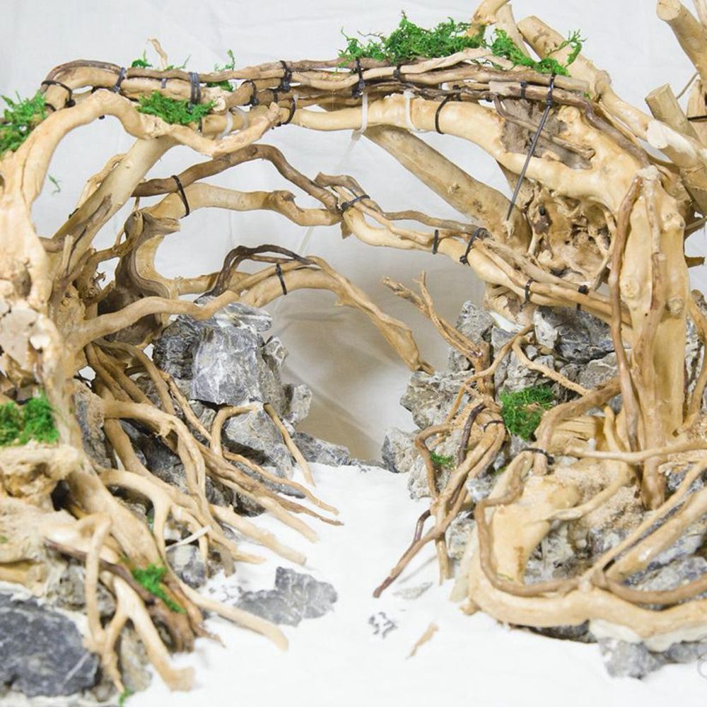 Дерево N1N, ландшафтный дизайн – обзор и цена Planted Aquarium With Driftwood
