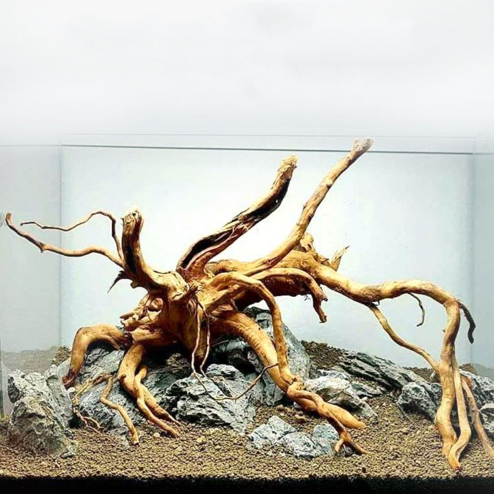 Натуральный ствол дерева, аква – обзор и цена Aquarium Plant Roots