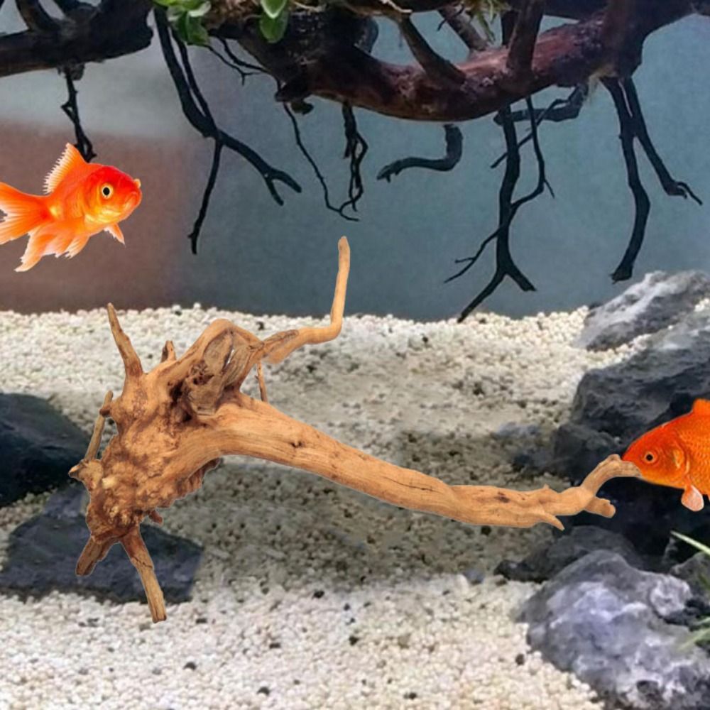 Натуральный ствол дерева, аква – обзор и цена Aquarium Plant Roots