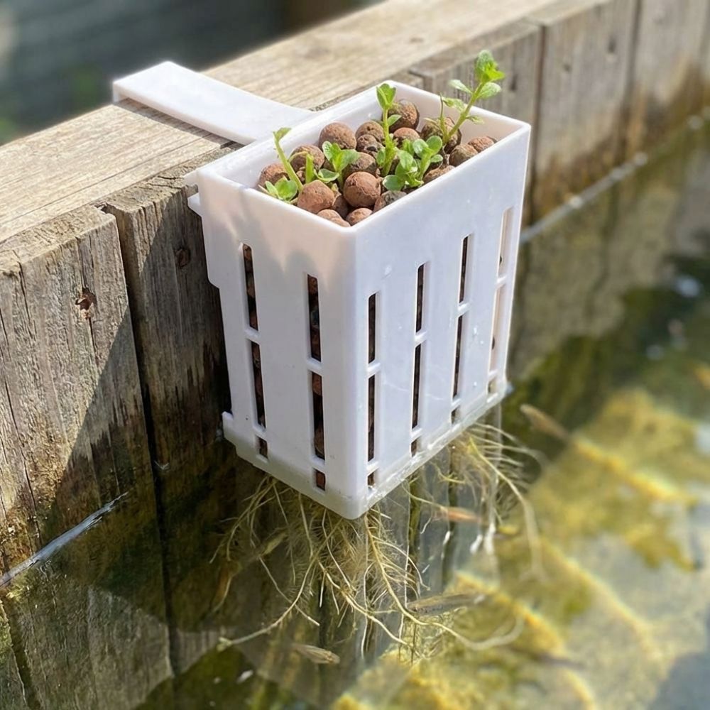 Настенный гидропонный контейне – обзор и цена Aquarium Planted Wall