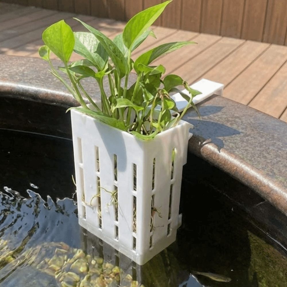 Настенный гидропонный контейне – обзор и цена Aquarium Planted Wall