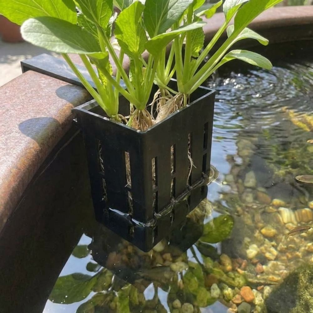 Настенный гидропонный контейне – обзор и цена Aquarium Planted Wall