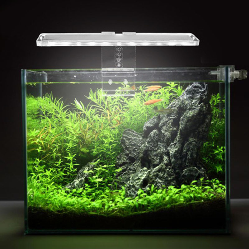 Светодиодный светильник для ак – обзор и цена Planted Aquarium Price