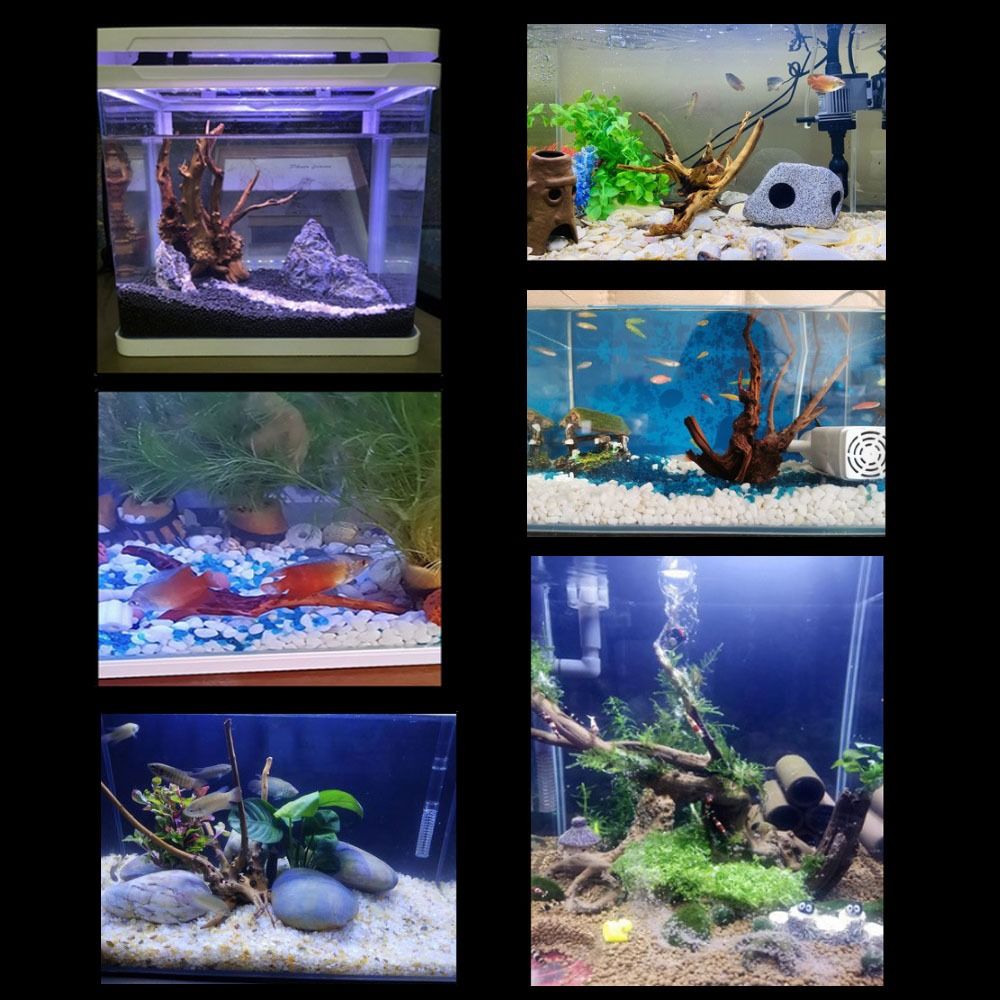 Декоративный пней для аквариум – обзор и цена Planted Aquarium With Driftwood