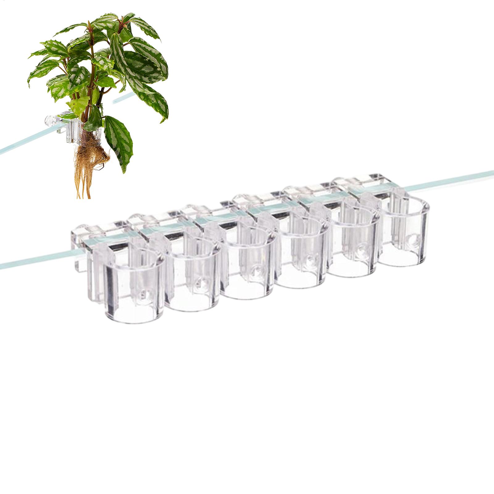 Мини-аквариум-кашпо, 6 шт., по – обзор и цена Planted Aquarium Mini