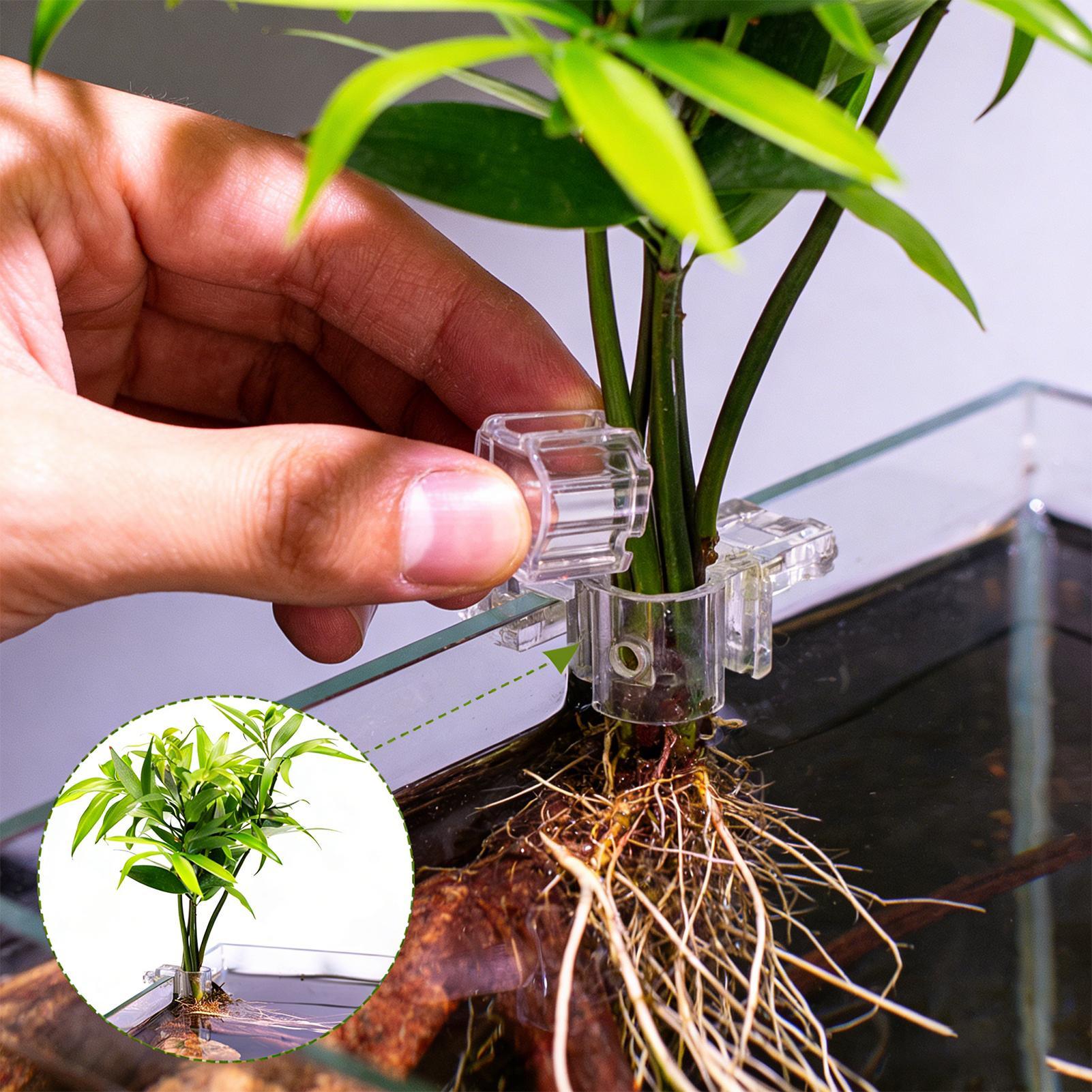 Мини-аквариум-кашпо, 6 шт., по – обзор и цена Planted Aquarium Mini