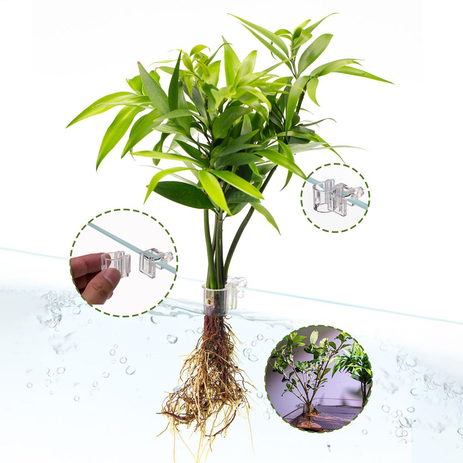 Мини-аквариум-кашпо, 6 шт., по – обзор и цена Planted Aquarium Mini