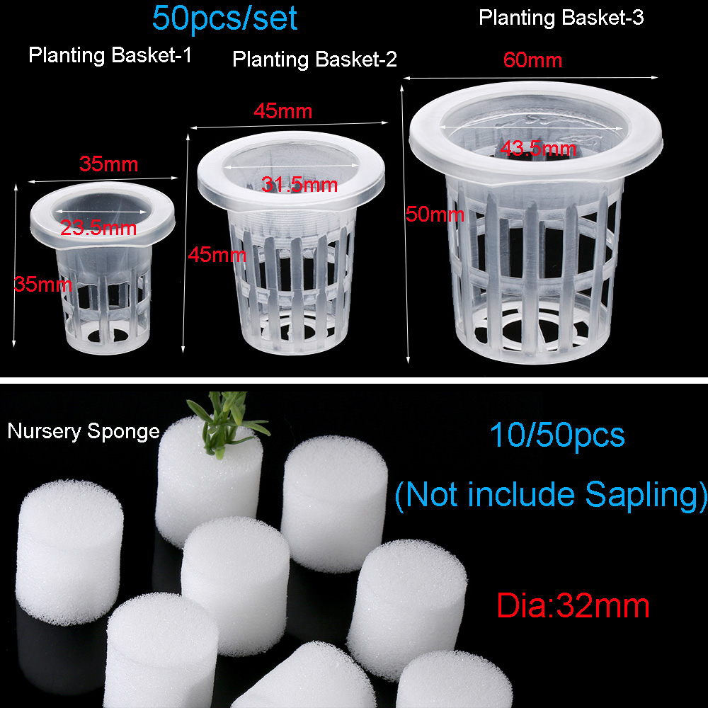 10/50 шт. садовые принадлежнос – обзор и цена Aquarium Planted Seeds